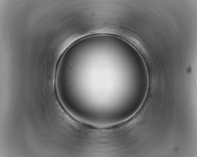 X0000093721228200710231125