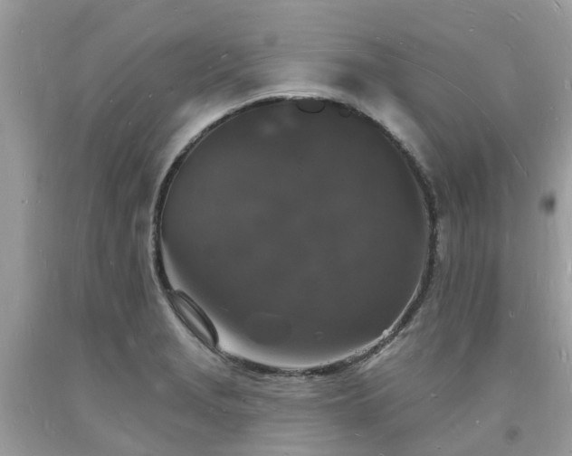 X0000093721229200710231125