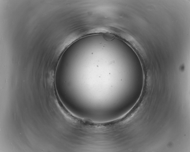 X0000093721233200710231125
