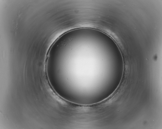 X0000093721236200710231125