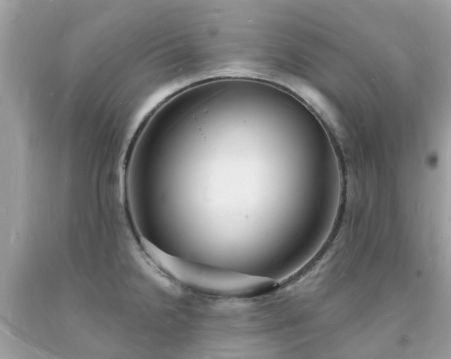 X0000093721238200710231125