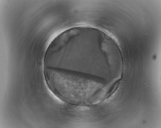 X0000093721239200710231125
