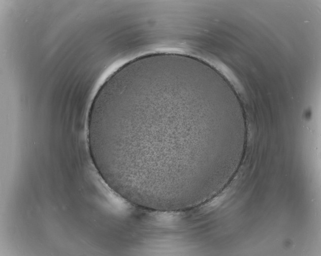 X0000093721240200710231125