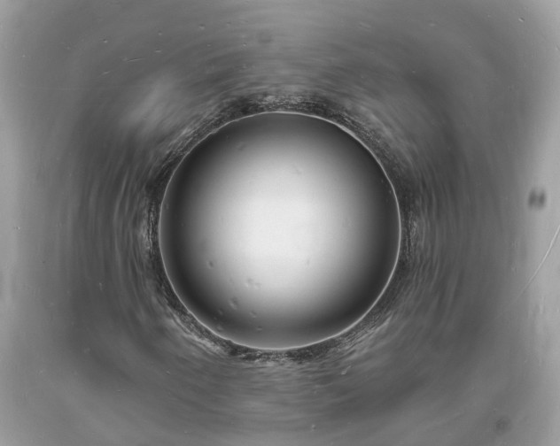 X0000093721250200710231125