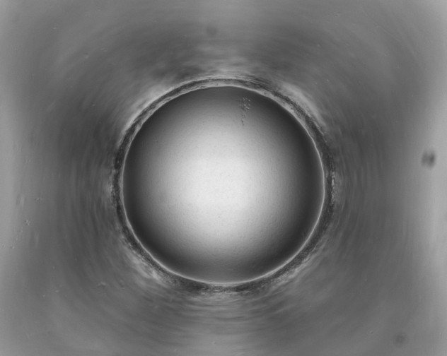 X0000093721260200710231125