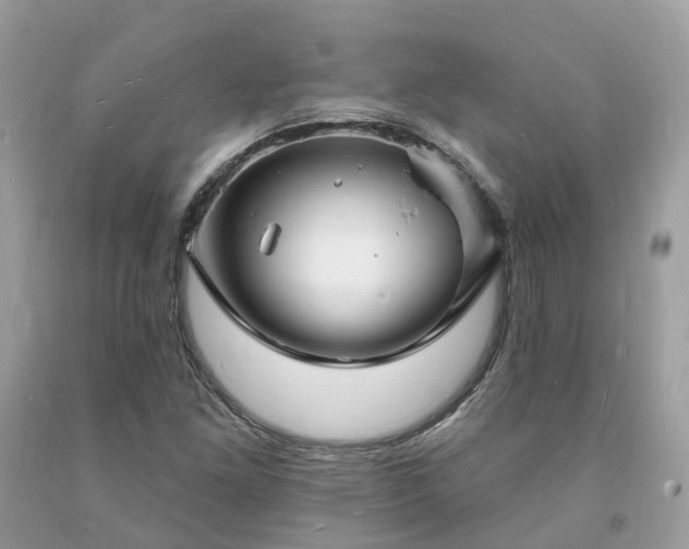 X0000093721261200710231125