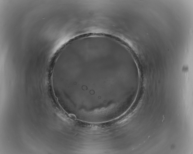 X0000093721263200710231125
