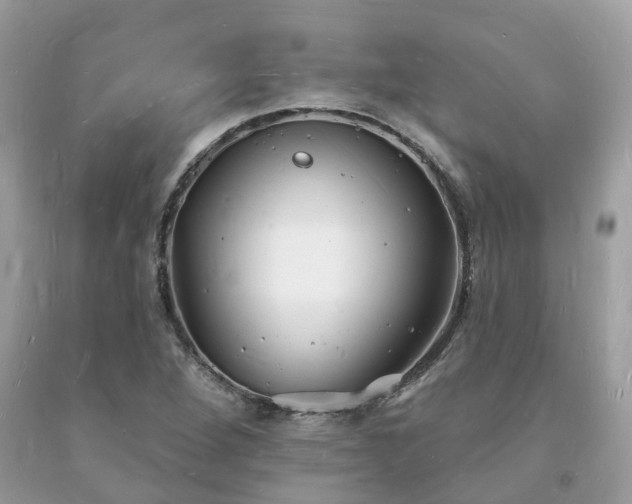 X0000093721264200710231125