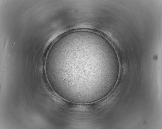X0000093721266200710231125