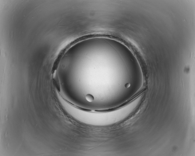 X0000093721267200710231125