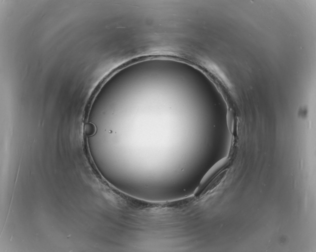 X0000093721268200710231125