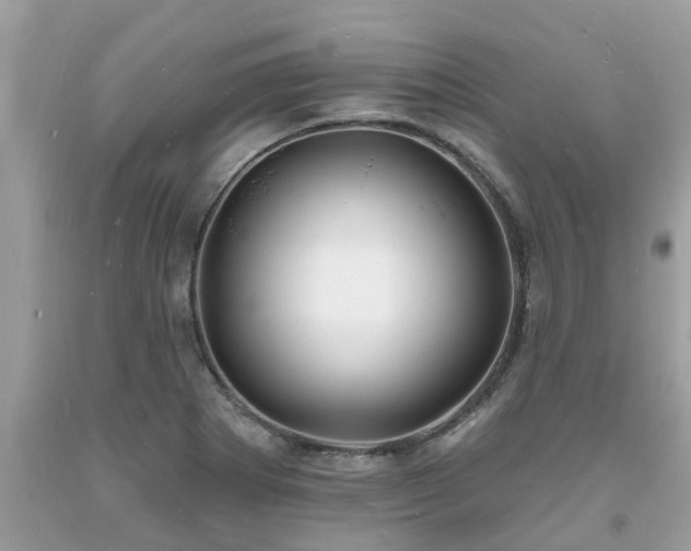 X0000093721273200710231125