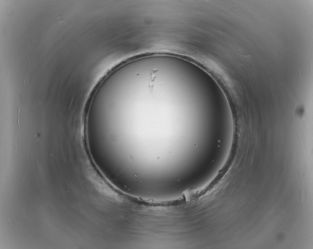 X0000093721280200710231125