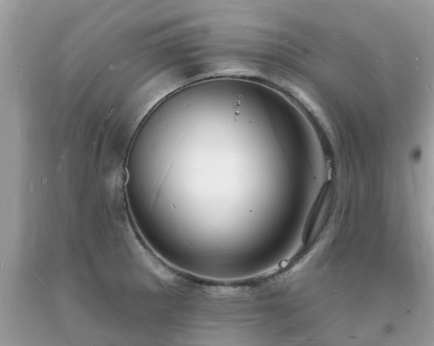 X0000093721281200710231125