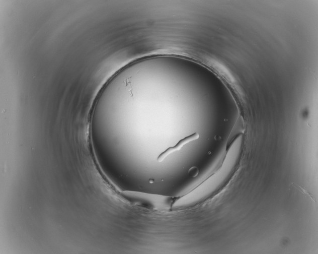 X0000093721284200710231124