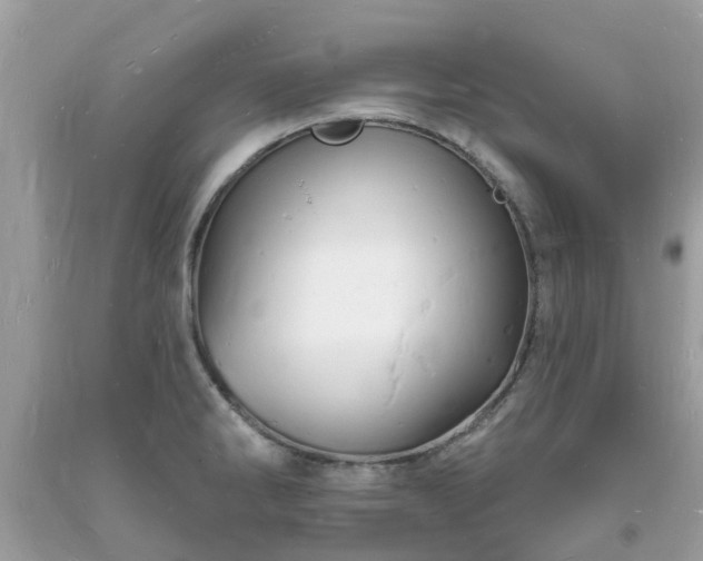X0000093721286200710231124