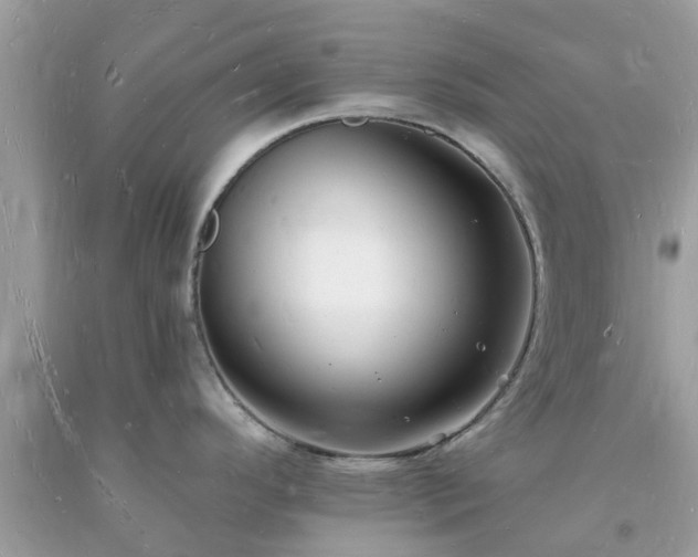 X0000093721296200710231124