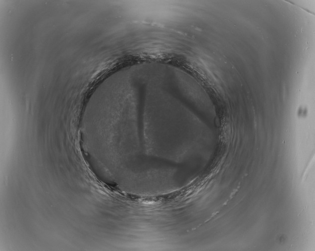 X0000093721297200710231124