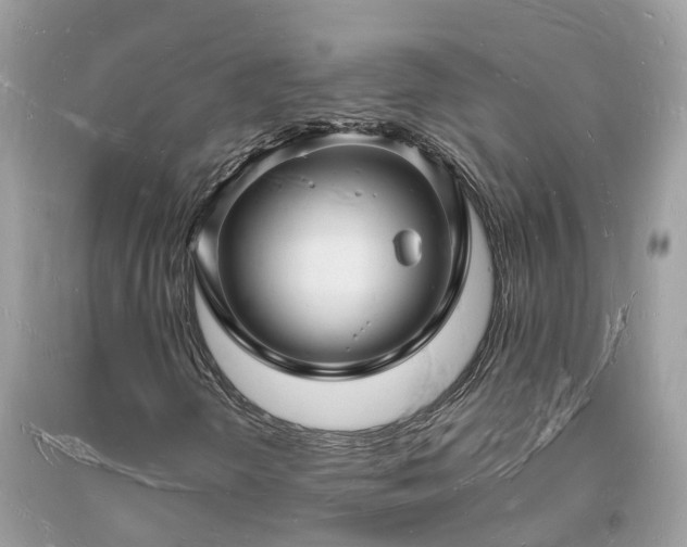 X0000093721298200710231124