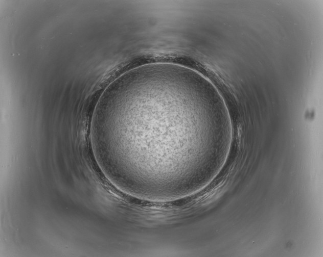 X0000093721300200710231124