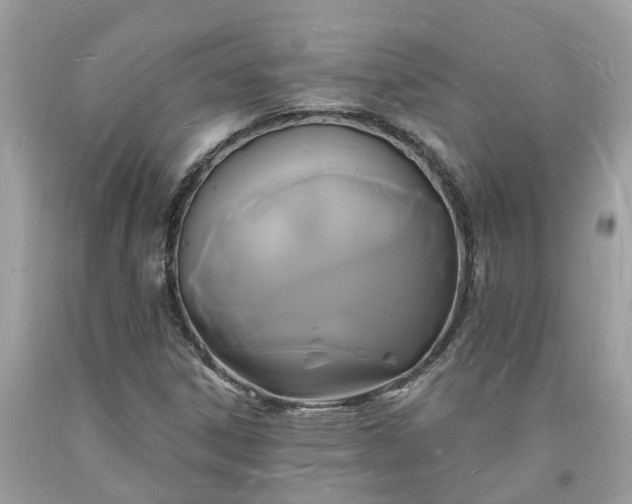 X0000093721306200710231124