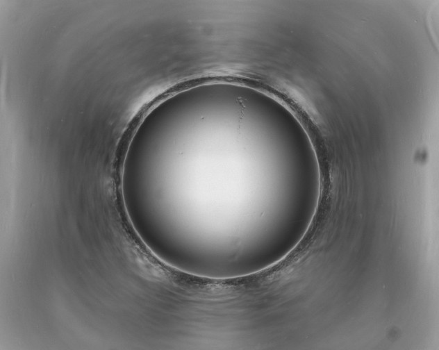 X0000093721308200710231124