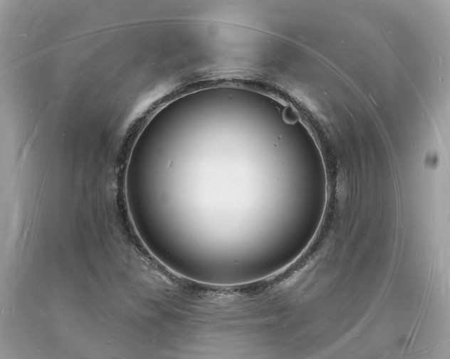 X0000093721309200710231124