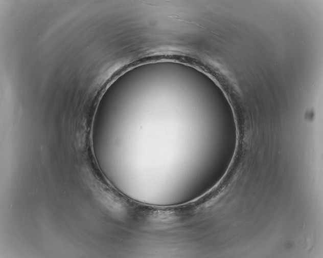 X0000093721313200710231124
