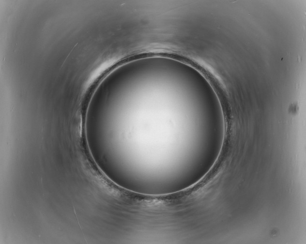 X0000093721317200710231124