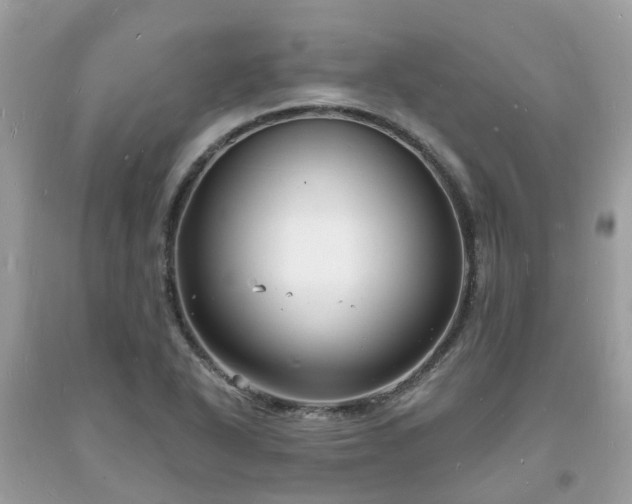 X0000093721318200710231124