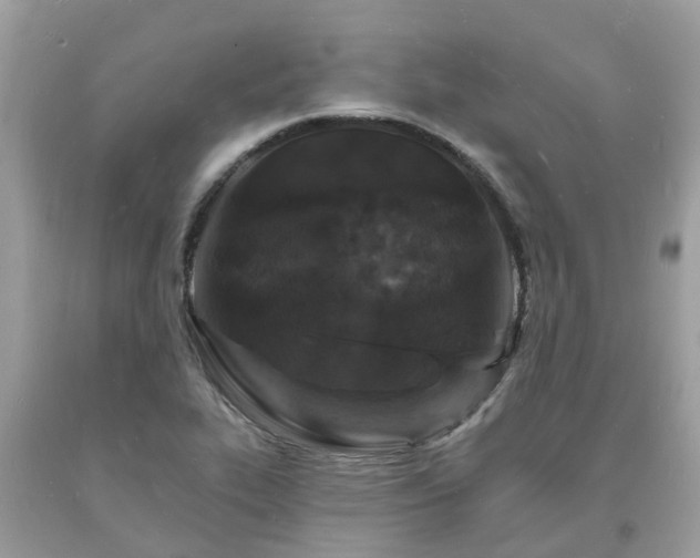 X0000093721319200710231124