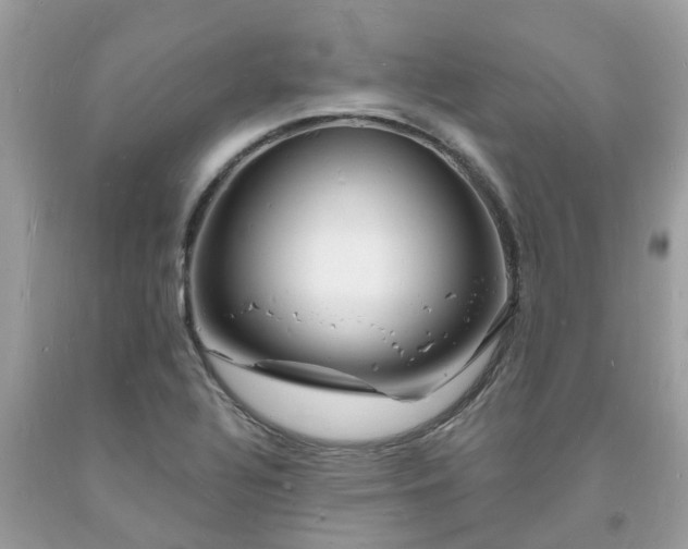 X0000093721320200710231124