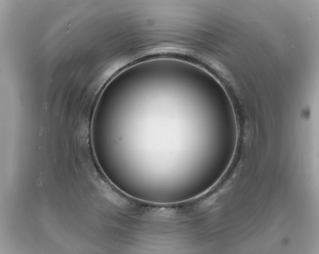 X0000093721321200710231124