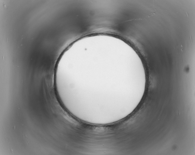 X0000093721322200710231124
