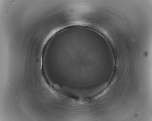 X0000093721323200710231124