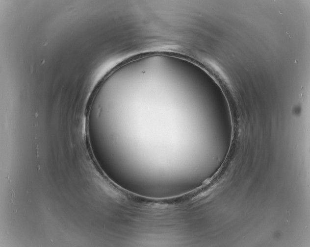 X0000093721324200710231124