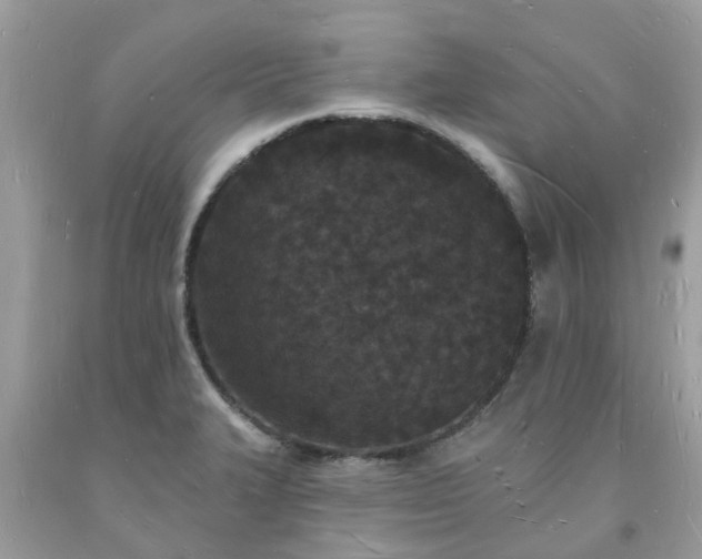 X0000093721327200710231124