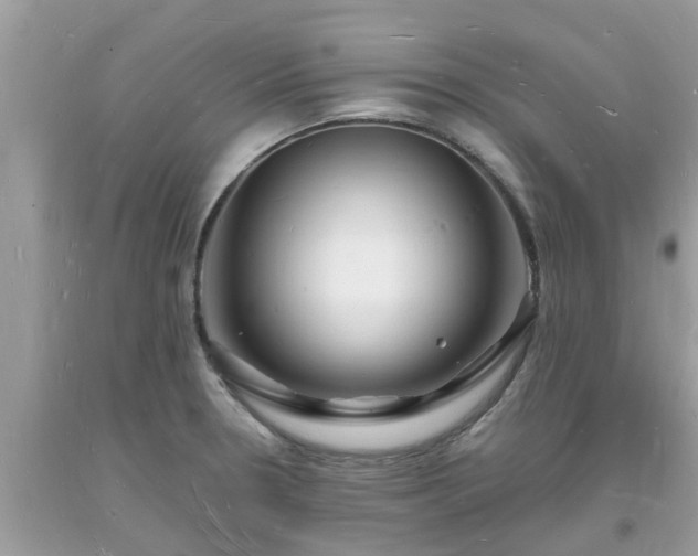 X0000093721330200710231124