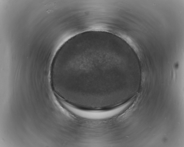 X0000093721331200710231124
