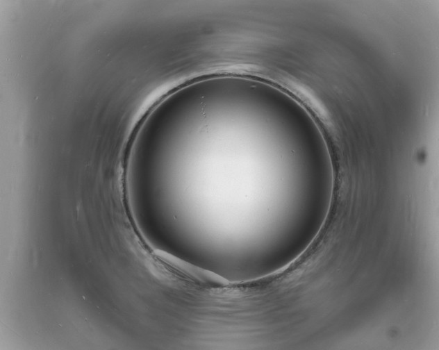 X0000093721332200710231124