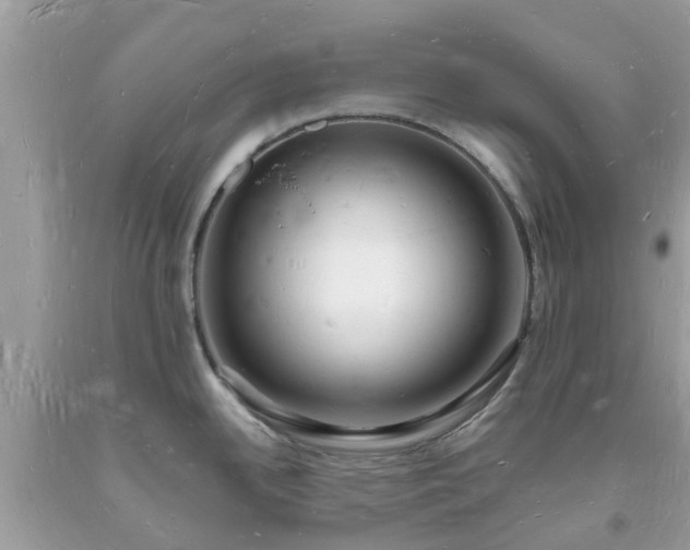 X0000093721342200710231124