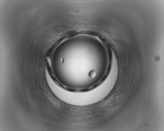 X0000093721348200710231124