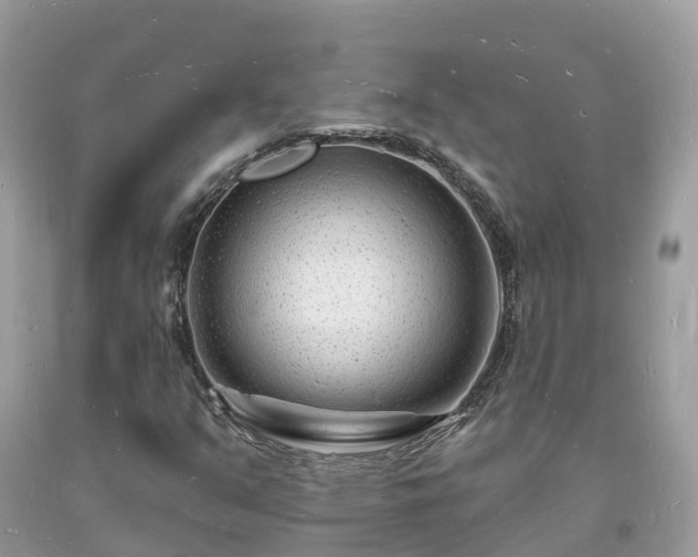 X0000093721351200710231123