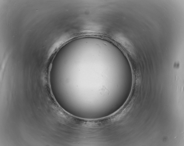 X0000093721357200710231123