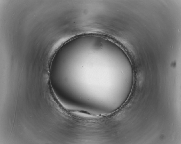 X0000093721363200710231123