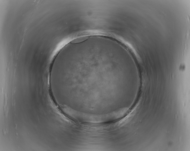 X0000093721365200710231123