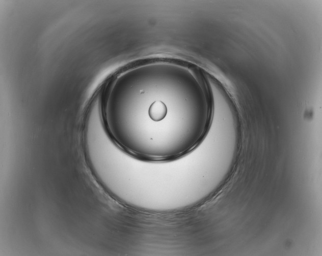 X0000093721368200710231123