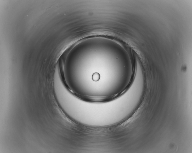X0000093721369200710231123
