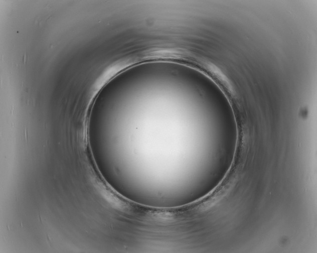 X0000093721370200710231123