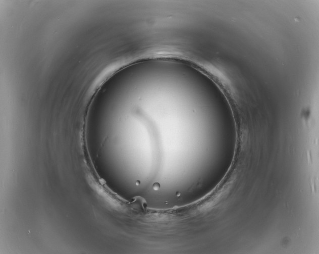 X0000093721374200710231123